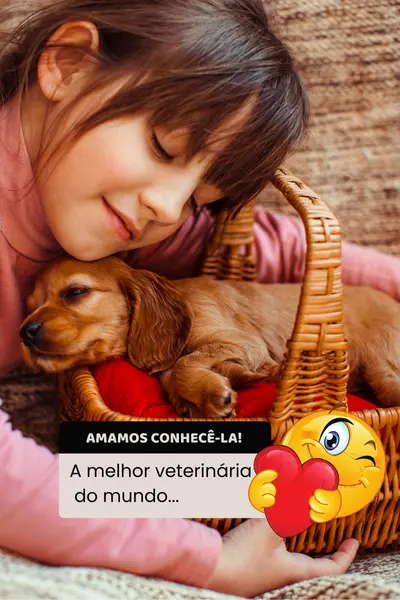 imagem-carrossel (5)