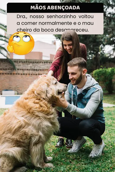 imagem-carrossel (6)